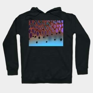 Rainbow Trout Hoodie